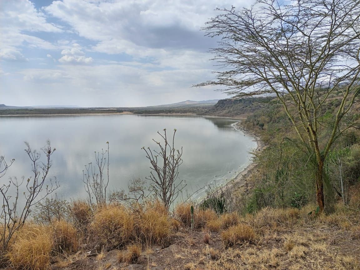 A journey through Eagle's point camp in Elementaita