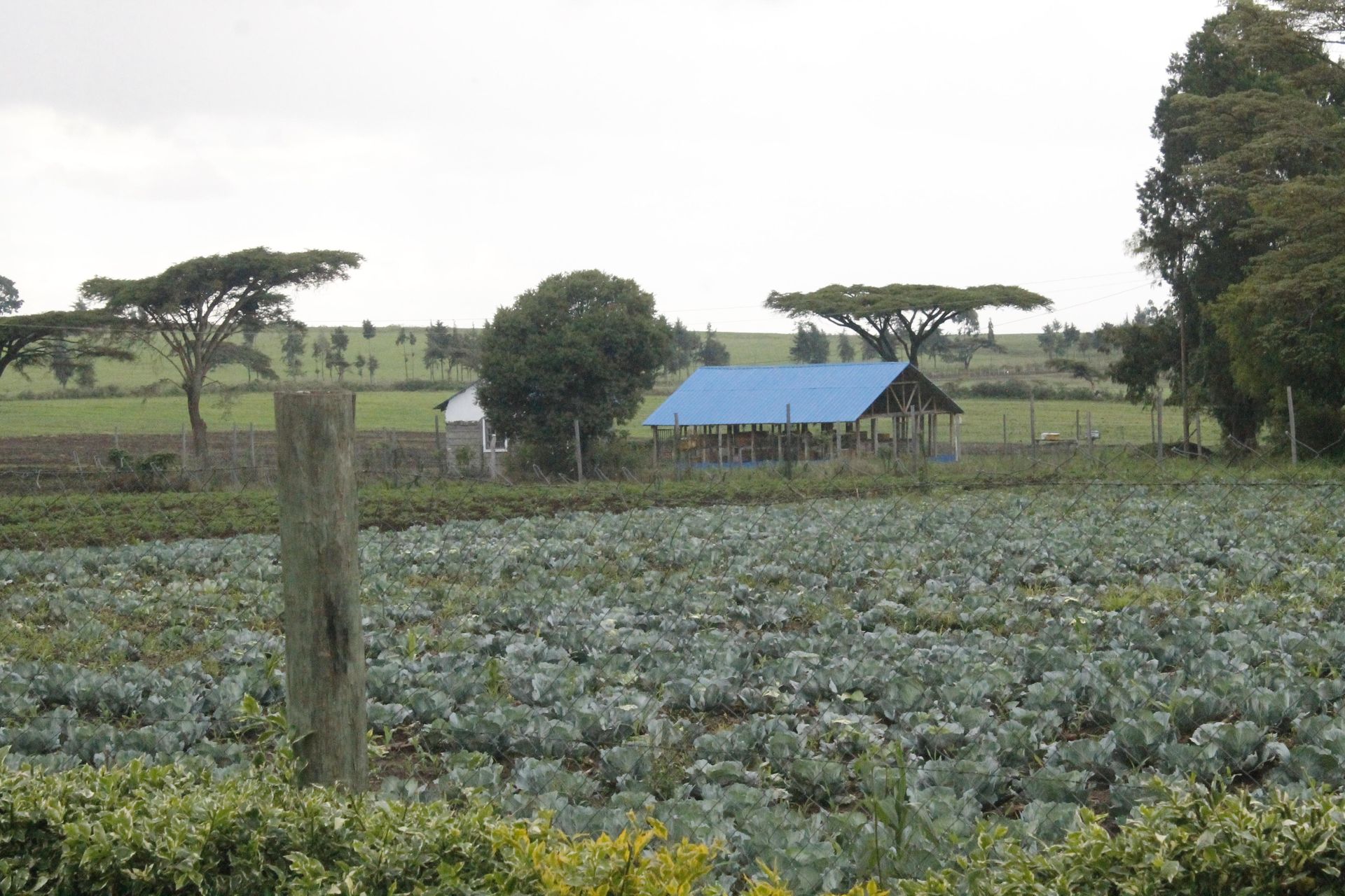 Feature: Nakuru’s industrial park that will revolutionise agriculture