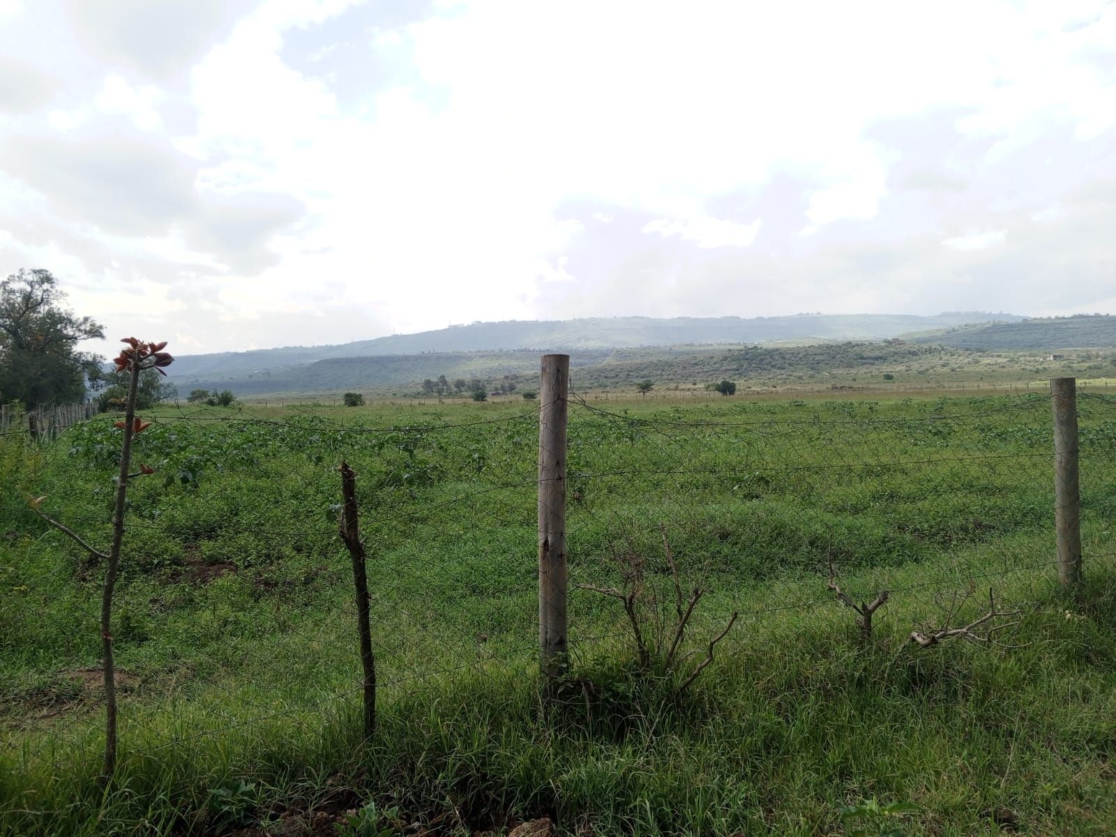 DTI: Village in Gilgil where wild animals and people co-exist