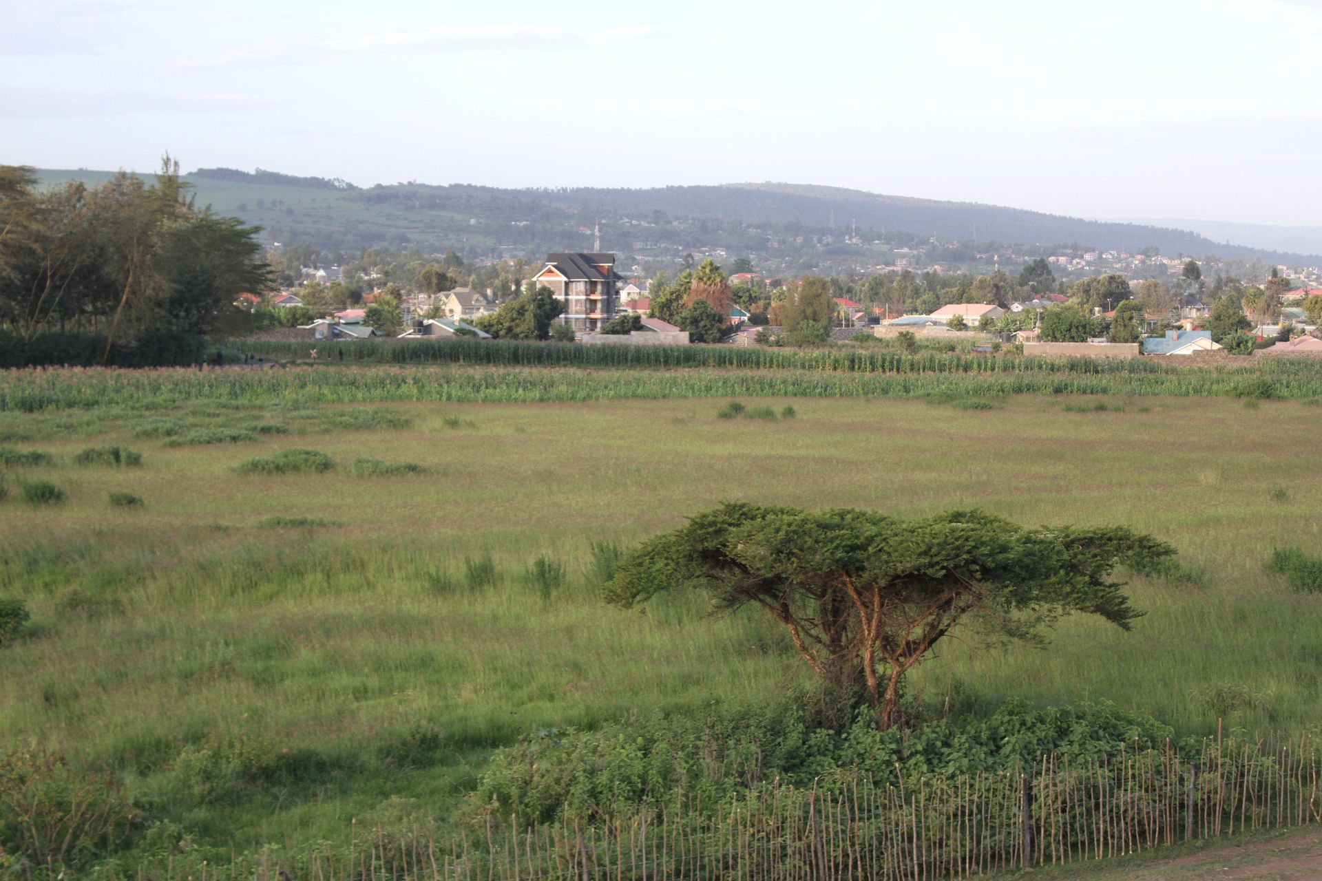 My Hood: Posh Ngata estate gets ugly reputation