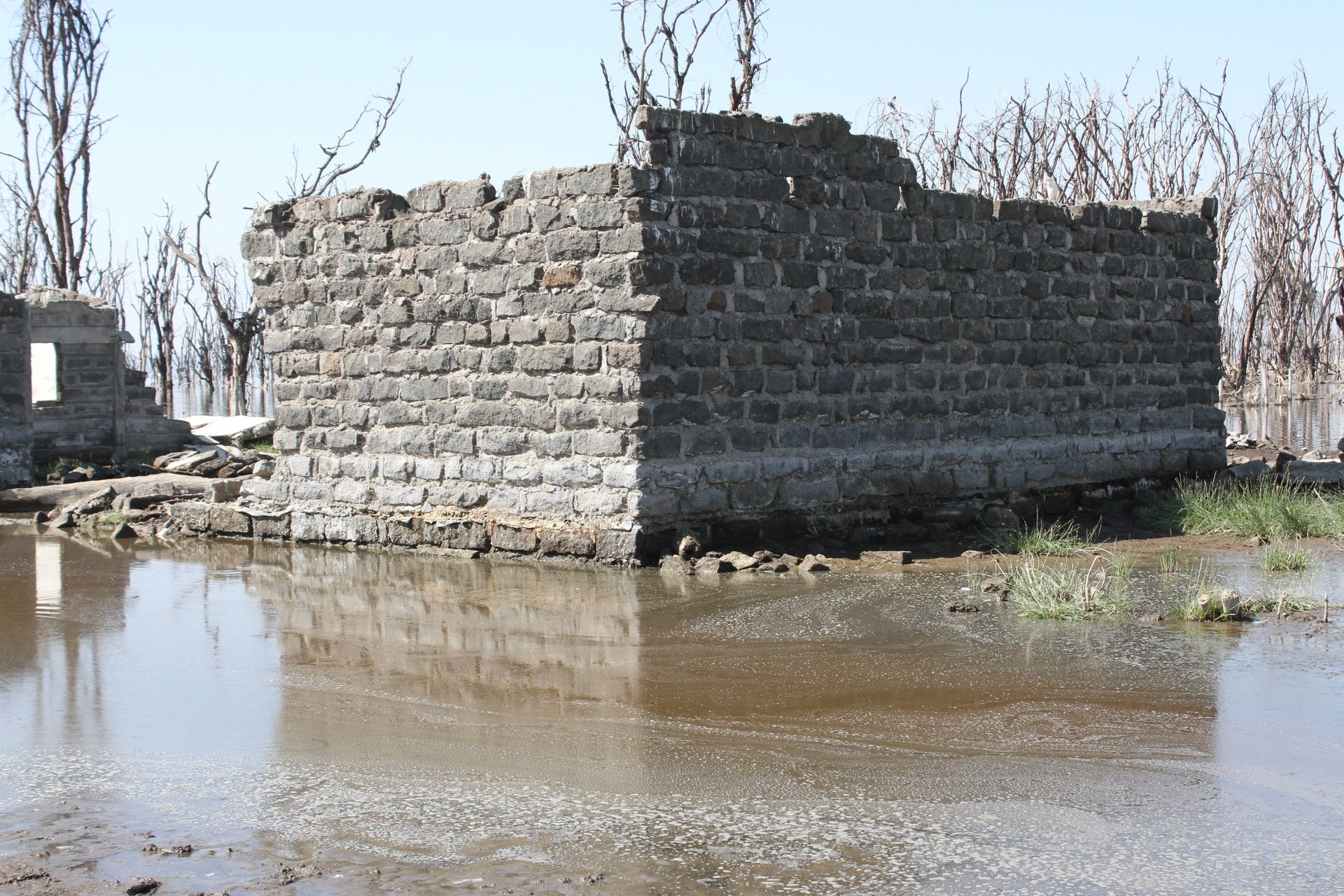 Troubled waters: How Lake Nakuru 'submerged' families have kept afloat