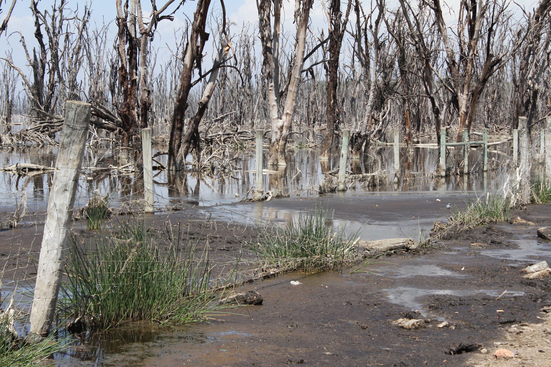 Troubled waters: Uncovering mystery of the rising Lake Nakuru 