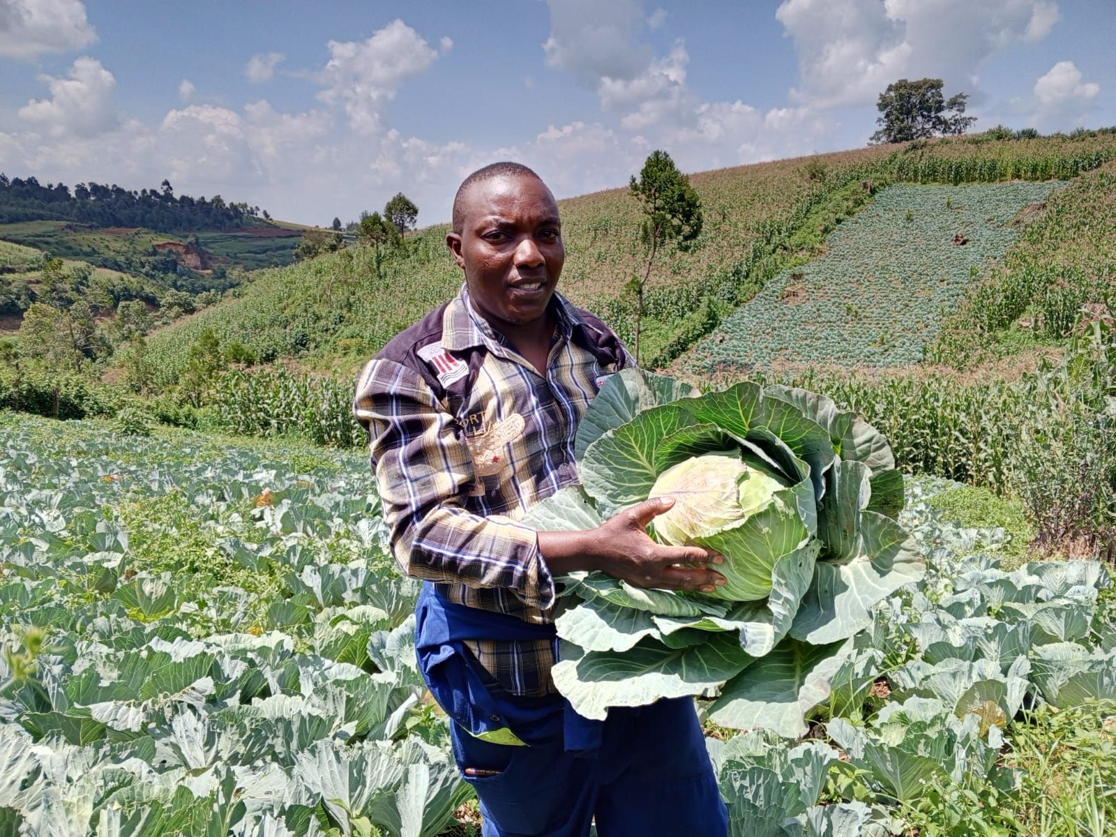 Lack of school fees leads man to a successful agriculture business in Molo