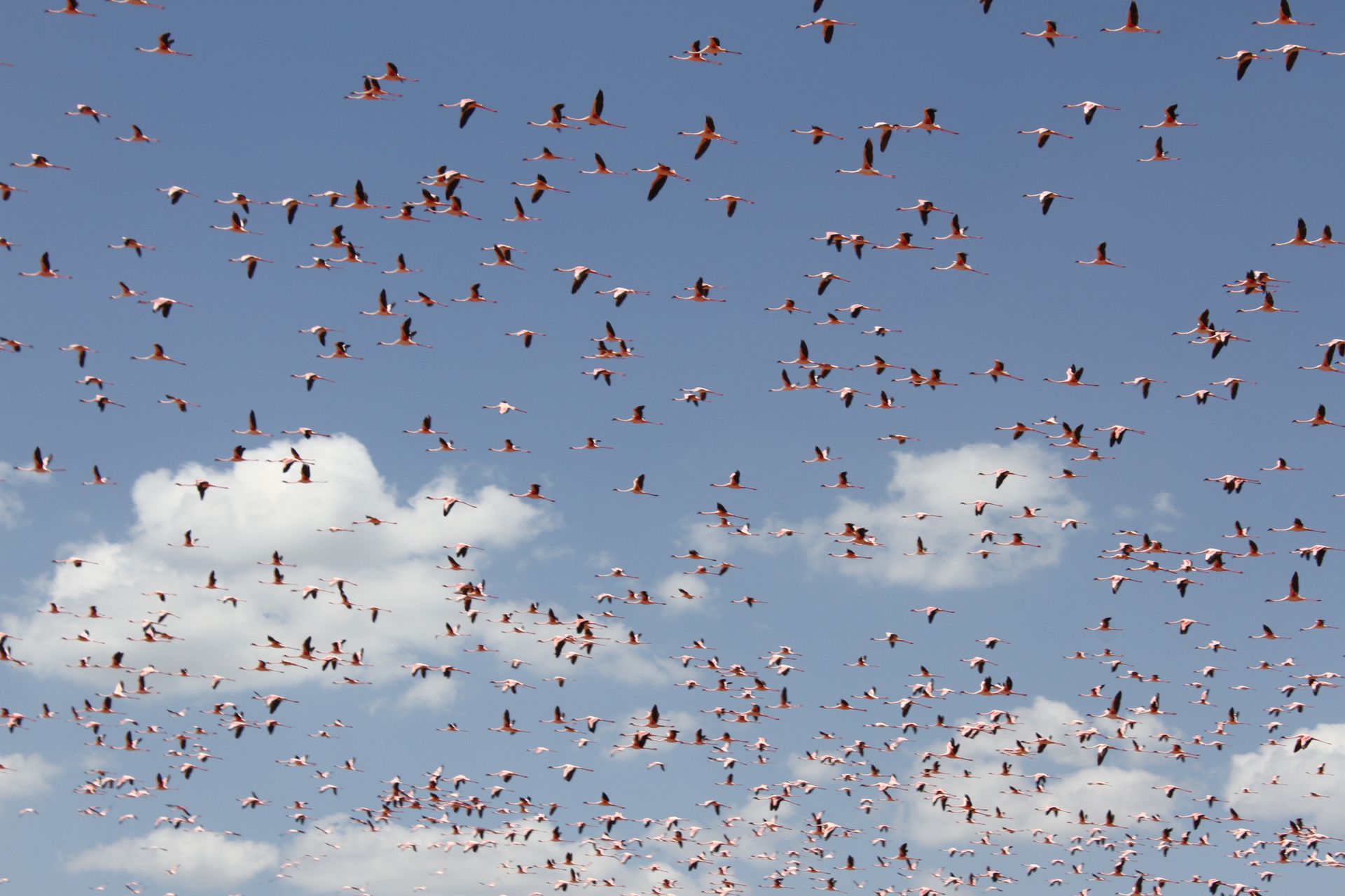 Lake Solai the hidden gem of Nakuru 