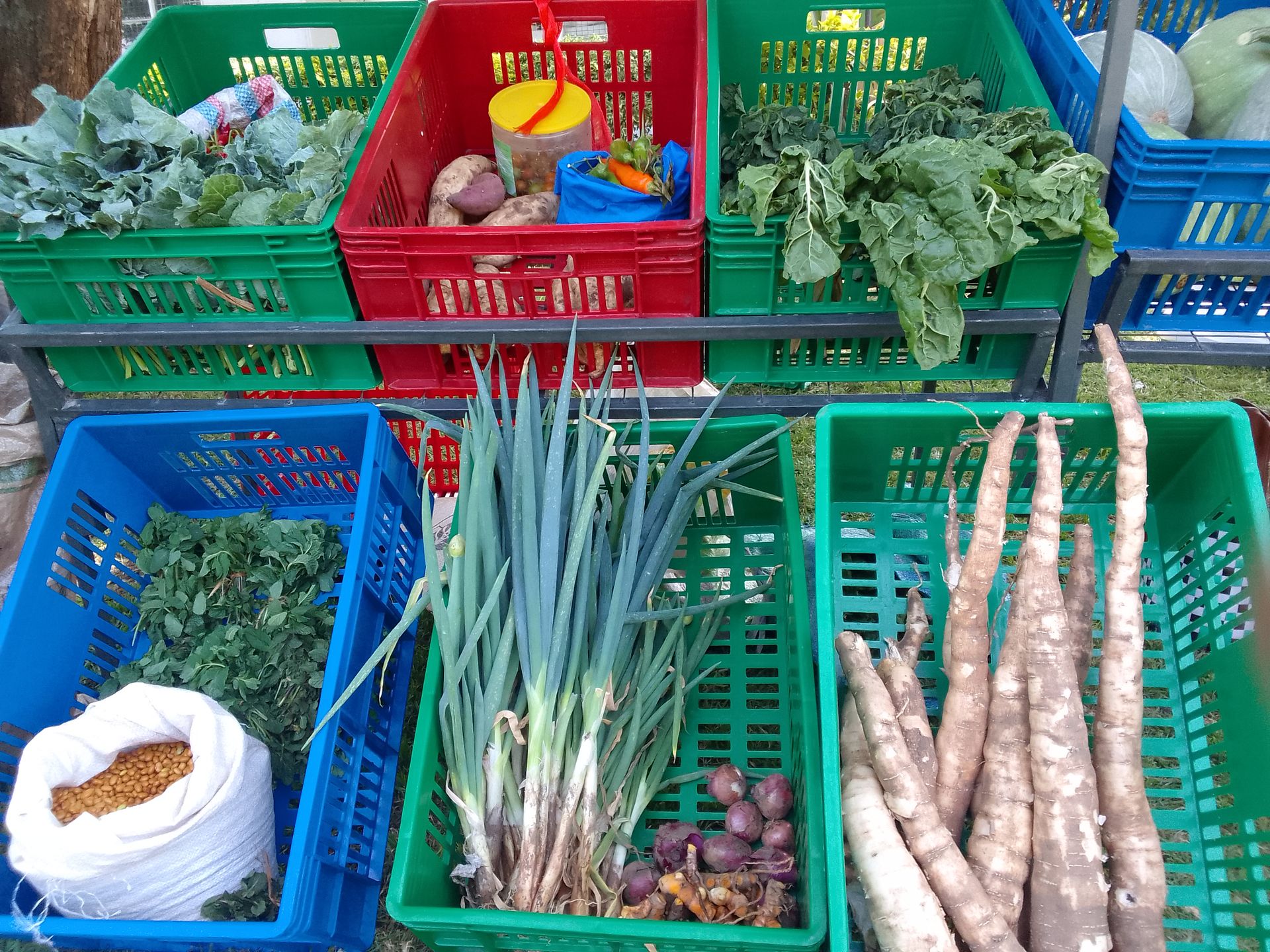 Lobby group seeks to establish organic farmers' markets in all Nakuru constituencies