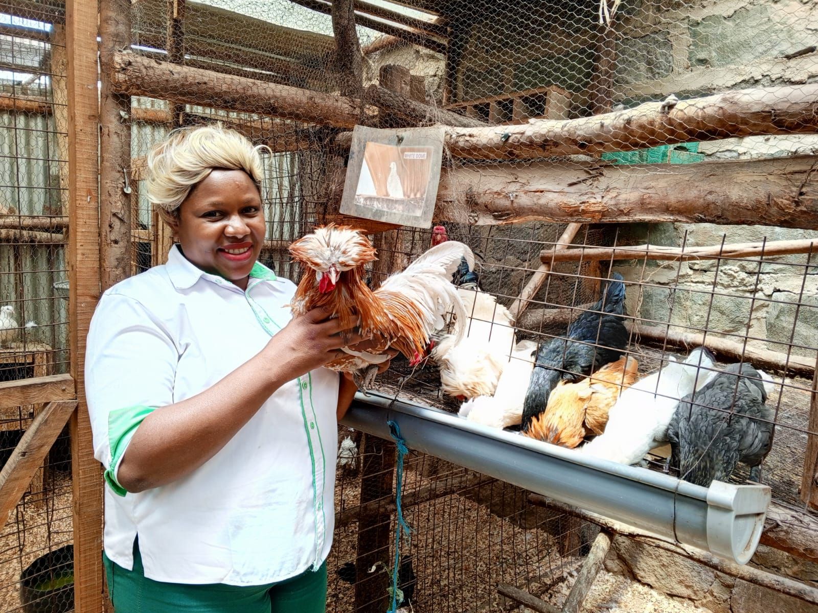 Biz Lounge: Covid pandemic leads woman towards lucrative ornamental birds business in Naivasha
