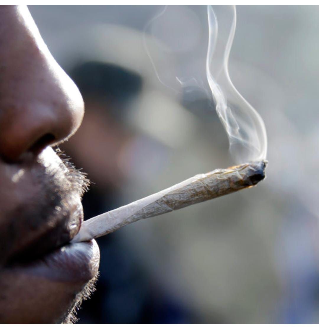 Mpaka kwa nywele: How bhang sellers in Nakuru use dreadlocks and other tricks to hide the product