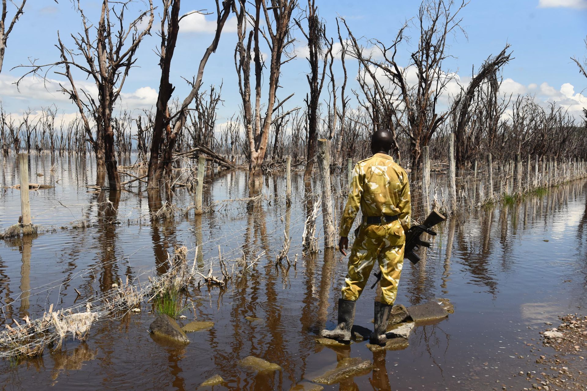 KWS to upgrade 78km of fence in Lake Nakuru National Park to reduce human-wildlife conflict