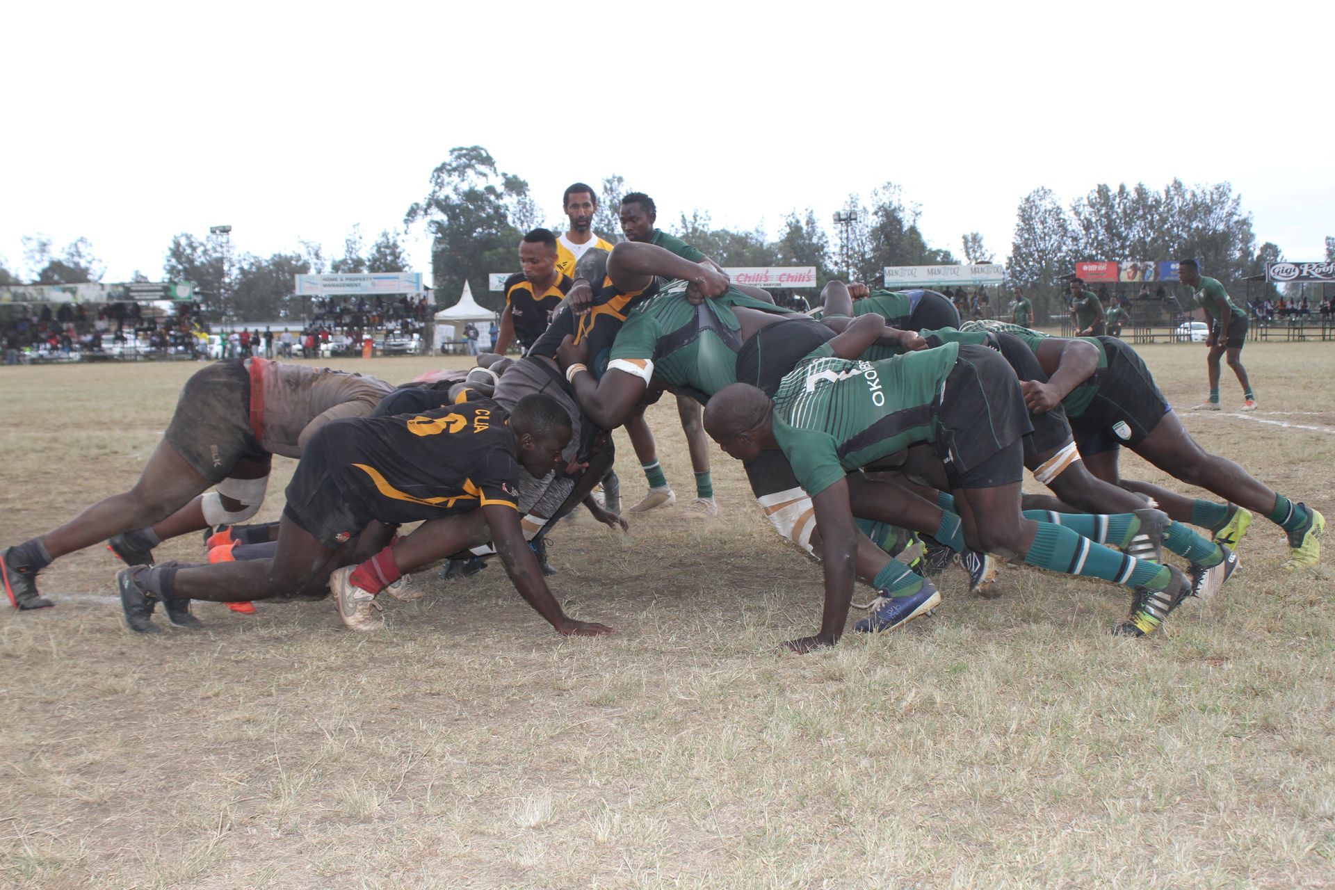 Nakuru RFC elect new club officials