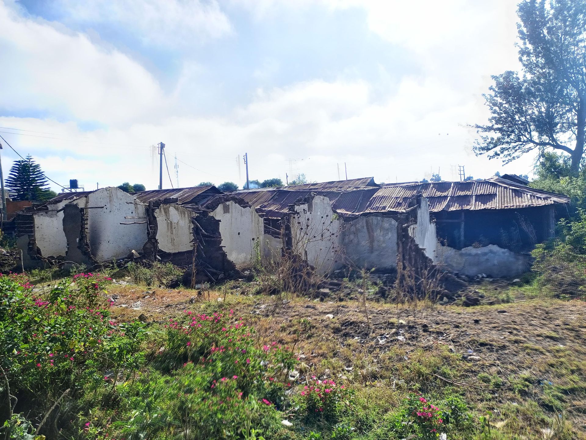 My Hood: A Nakuru estate held back by baboon invasion