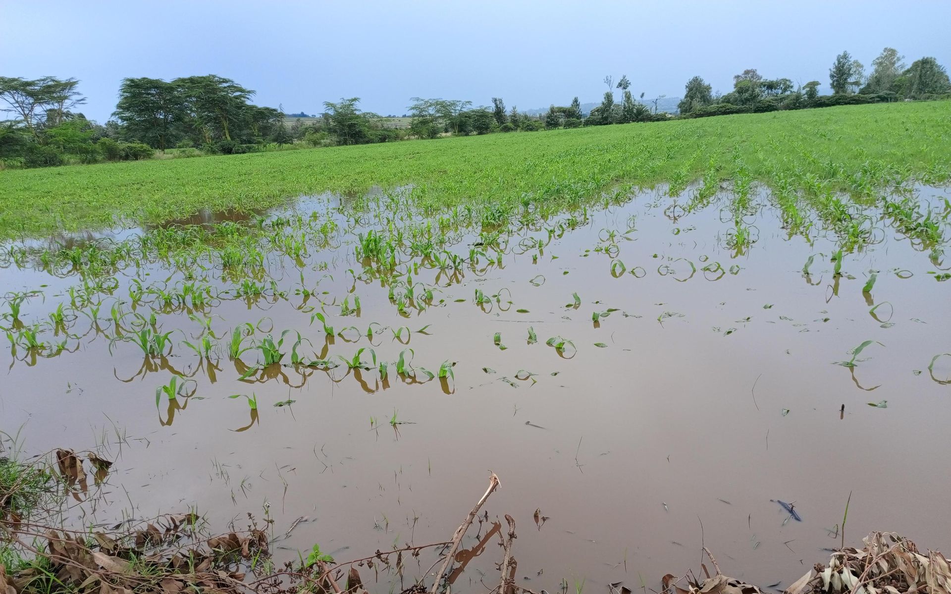 Questions raised on how Nakuru spent millions allocated to disaster management