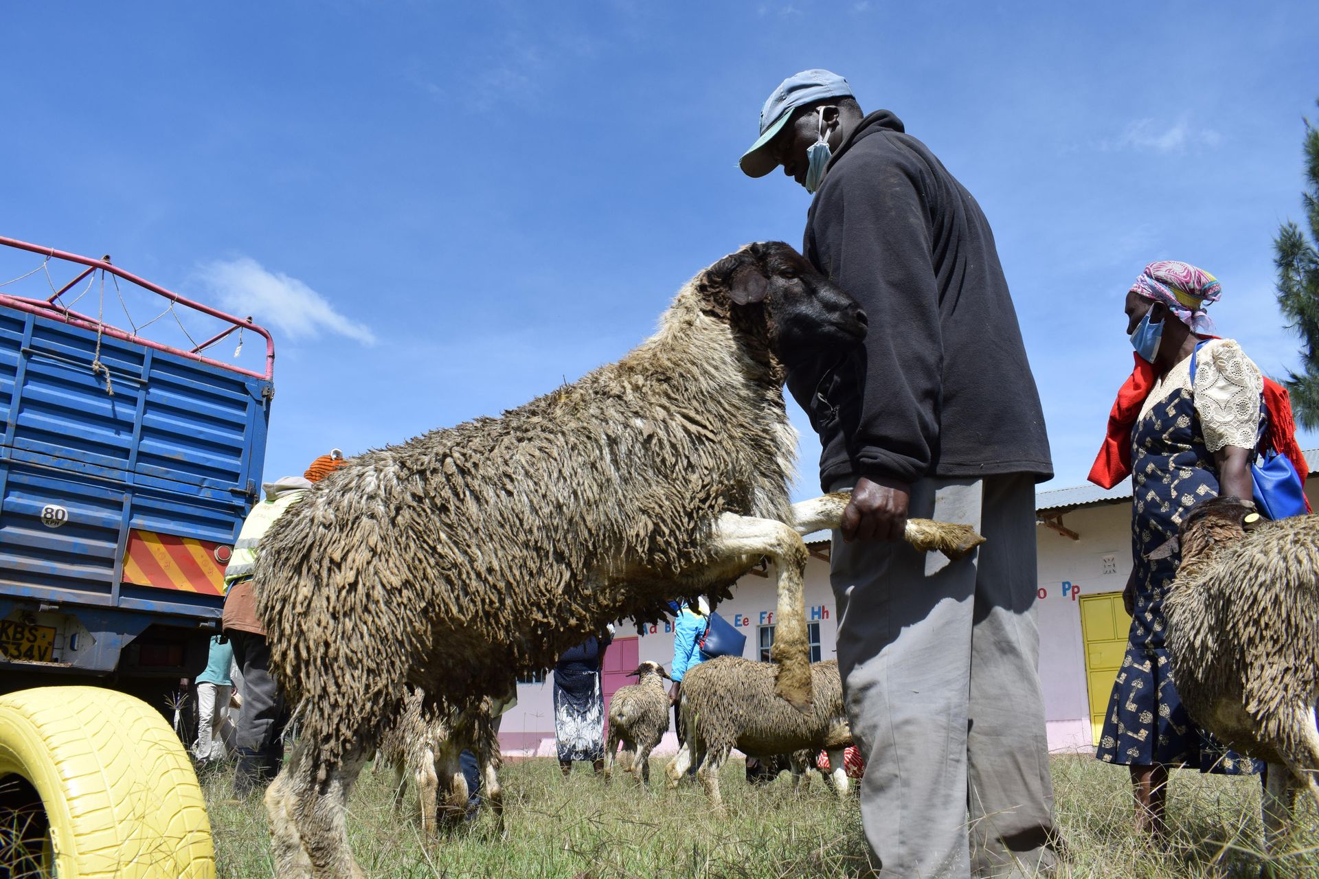 Dear farmer, here's how your animals can be productive in spite of the cold weather