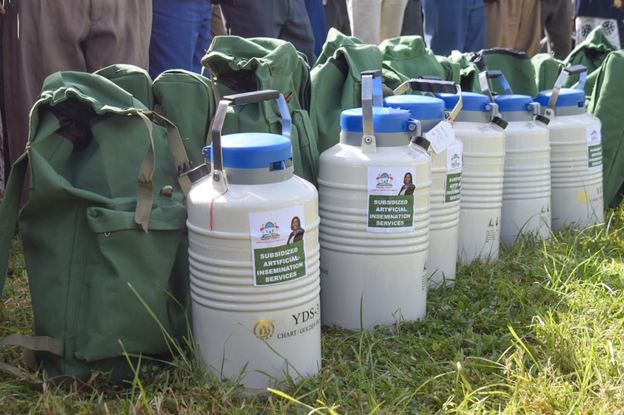 Nakuru dairy farmers embrace AI to improve milk production
