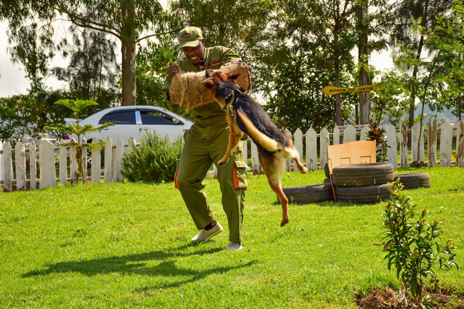 Life after retirement: From KDF soldier to dog trainer in Gilgil