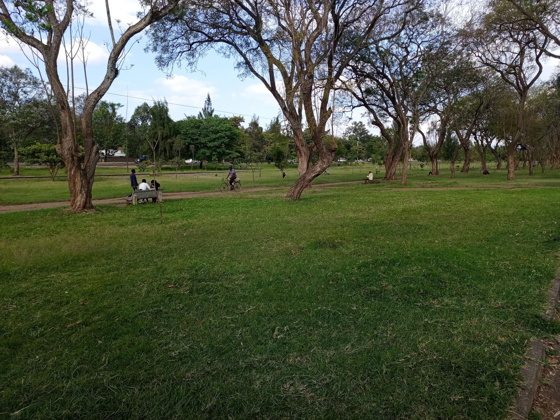 From barren to lush green: The changing scenery of Section 58