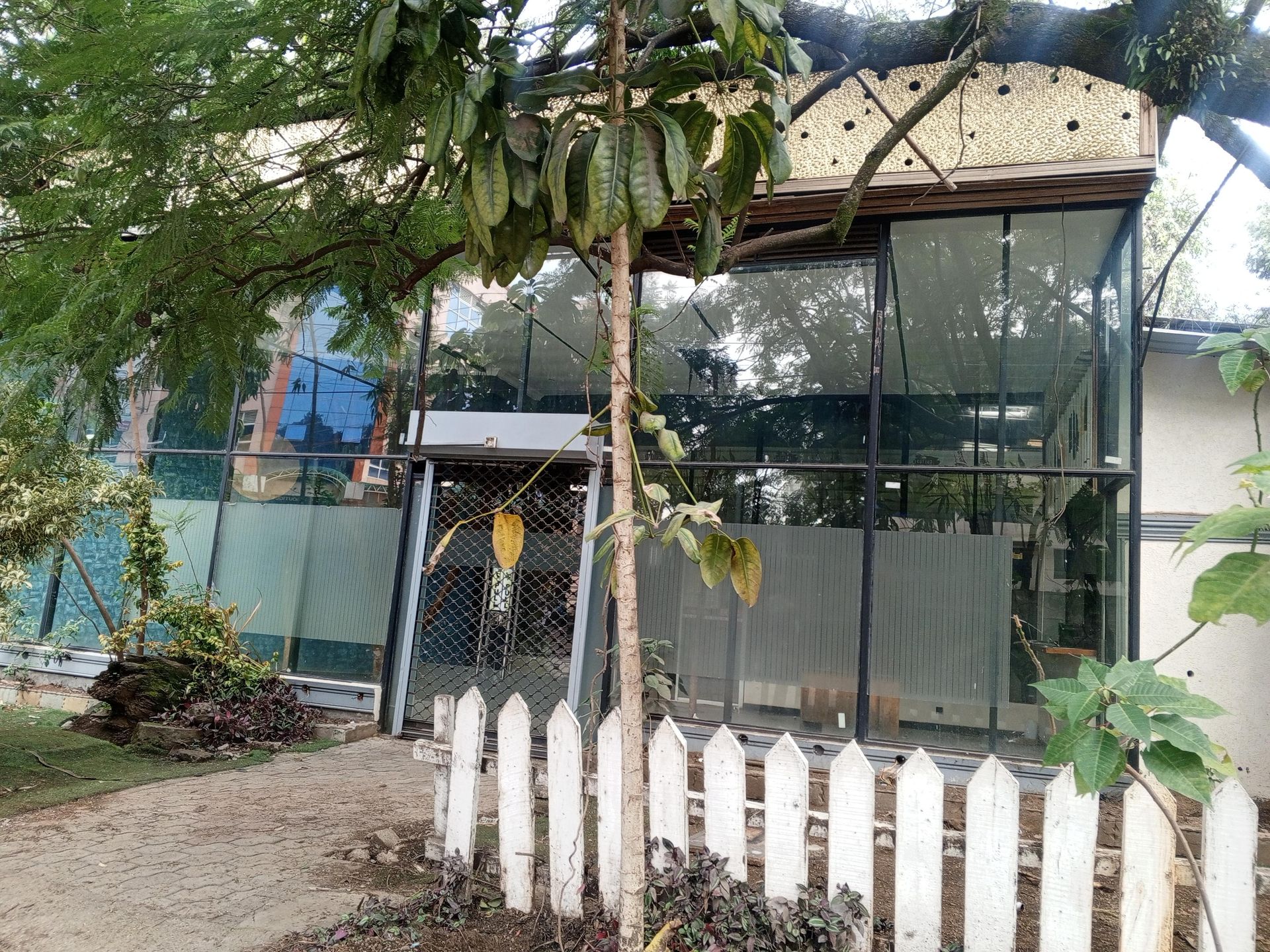 Culture Mambo out! Iconic Nakuru hotspot shuts down