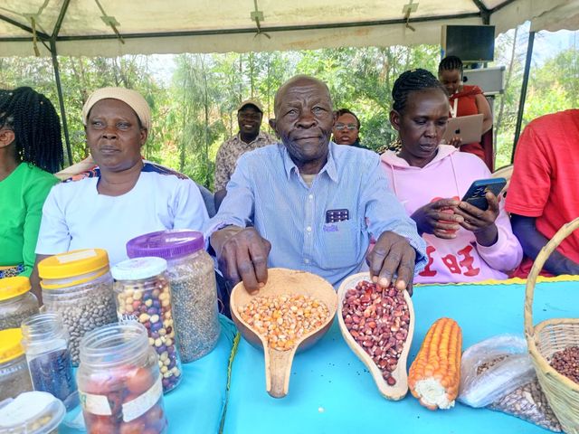 Inside unique trade in Kampi ya Moto where farmers use seeds as currency