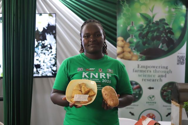 Egerton student discovers wonders of potato flour