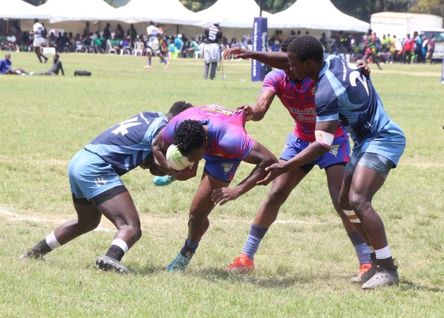Nakuru rugby teams show grit and growth in this year's 7s series