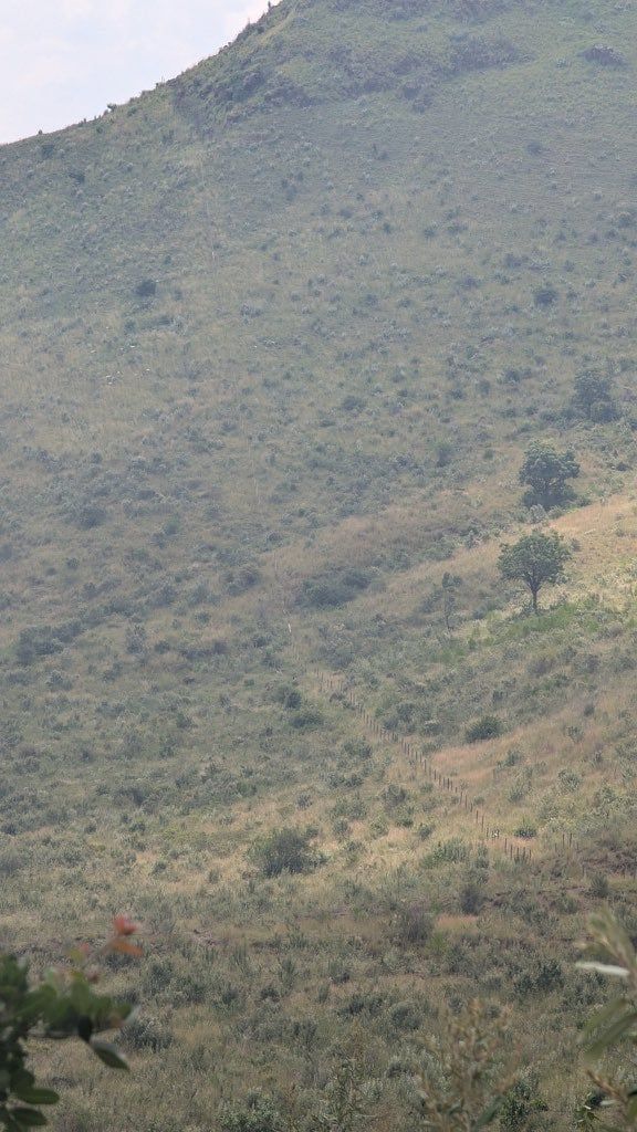KFS denies land-grabbing claims at the Menengai Crater