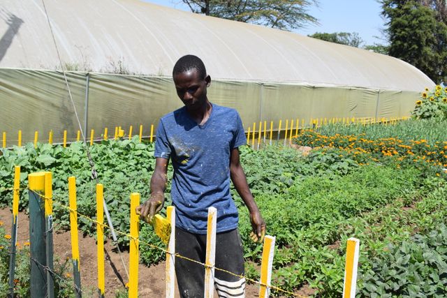 IN PHOTOS: Preparations ahead of Nakuru ASK Show