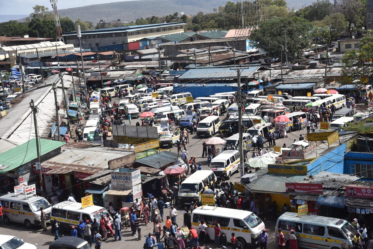 Surviving Kamageras 101: How to dodge and outsmart them