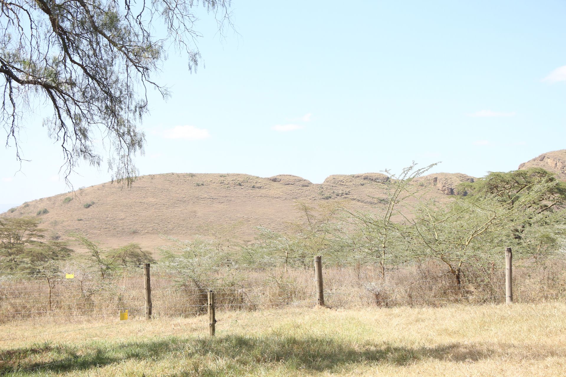 Mlima Ugali: The Sacred Recreational Hill