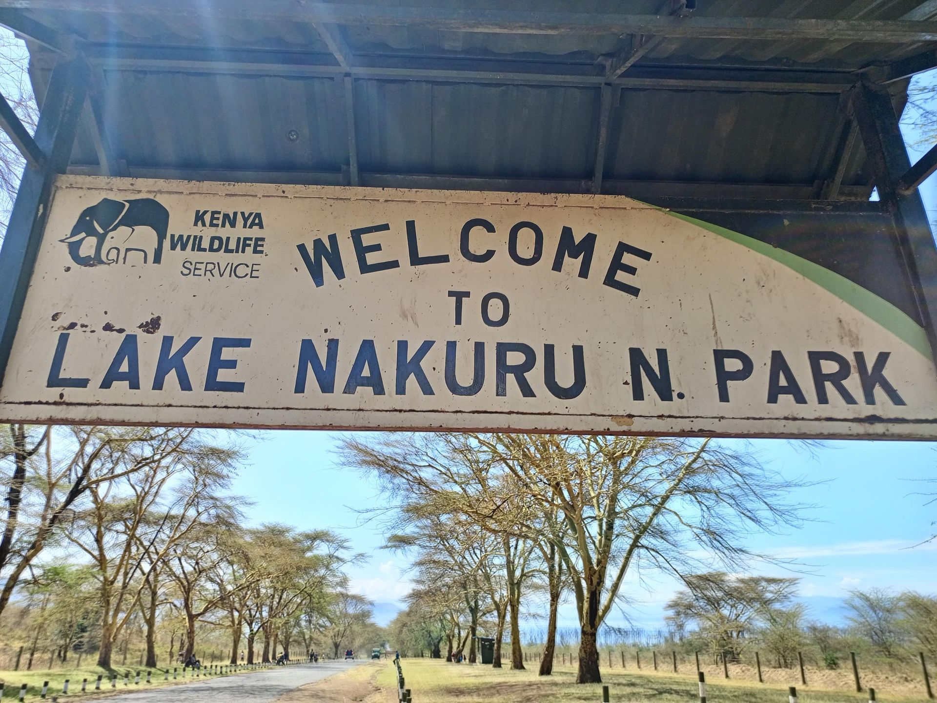 Giza Ziwani: How bufallo saved woman from rape in Lake Nakuru National Park