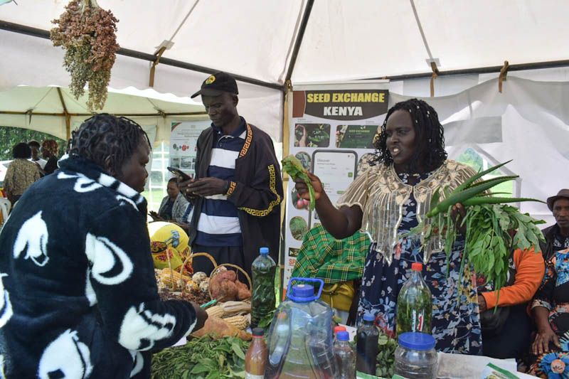 Meet the climate-smart farmers of Nakuru, who are using cheap alternative fertilisers instead of synthetic ones