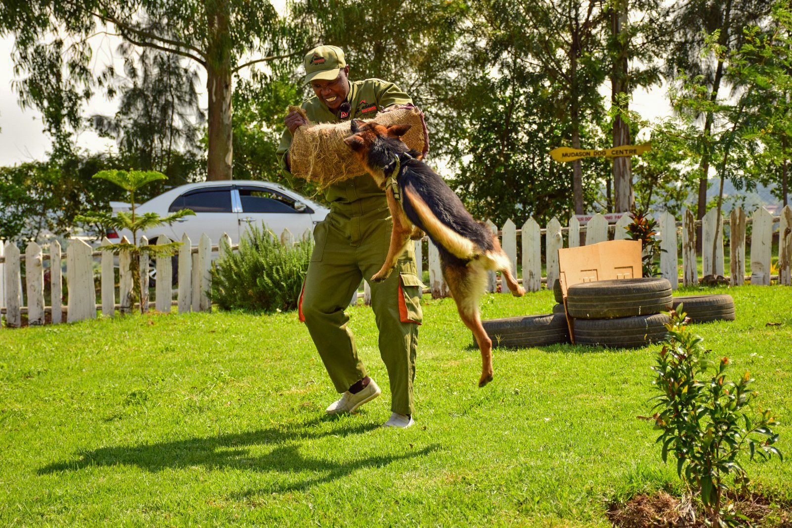 Life after retirement: From KDF soldier to dog trainer in Gilgil