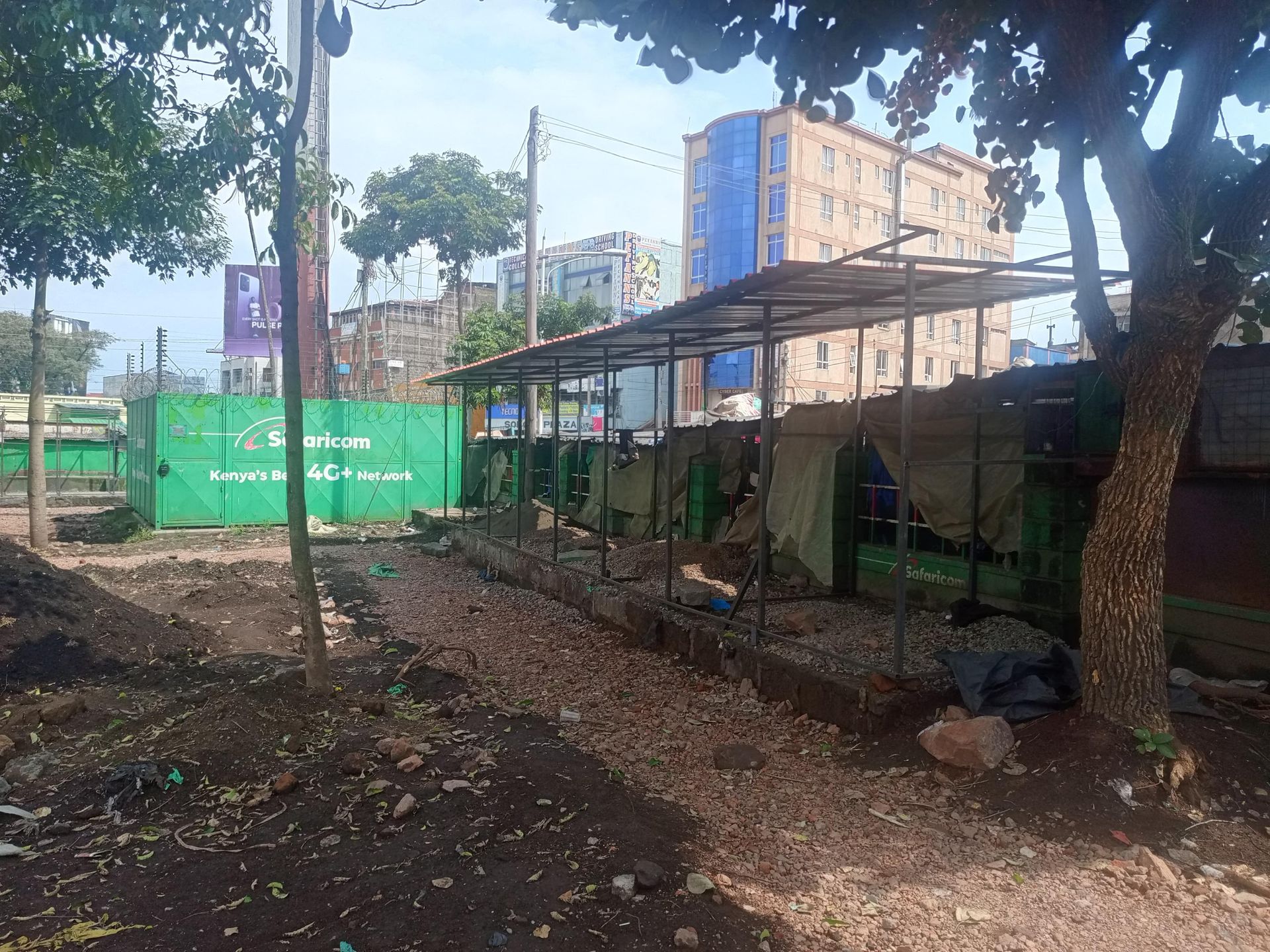 Environmentalists take county government to court over erection of stalls in Lions Garden