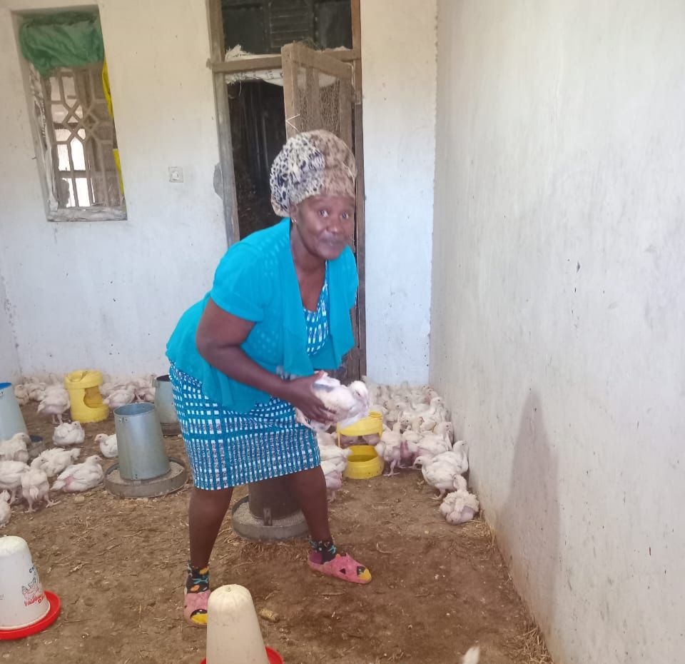 After years of losses, this is how I started making a profit in poultry farming