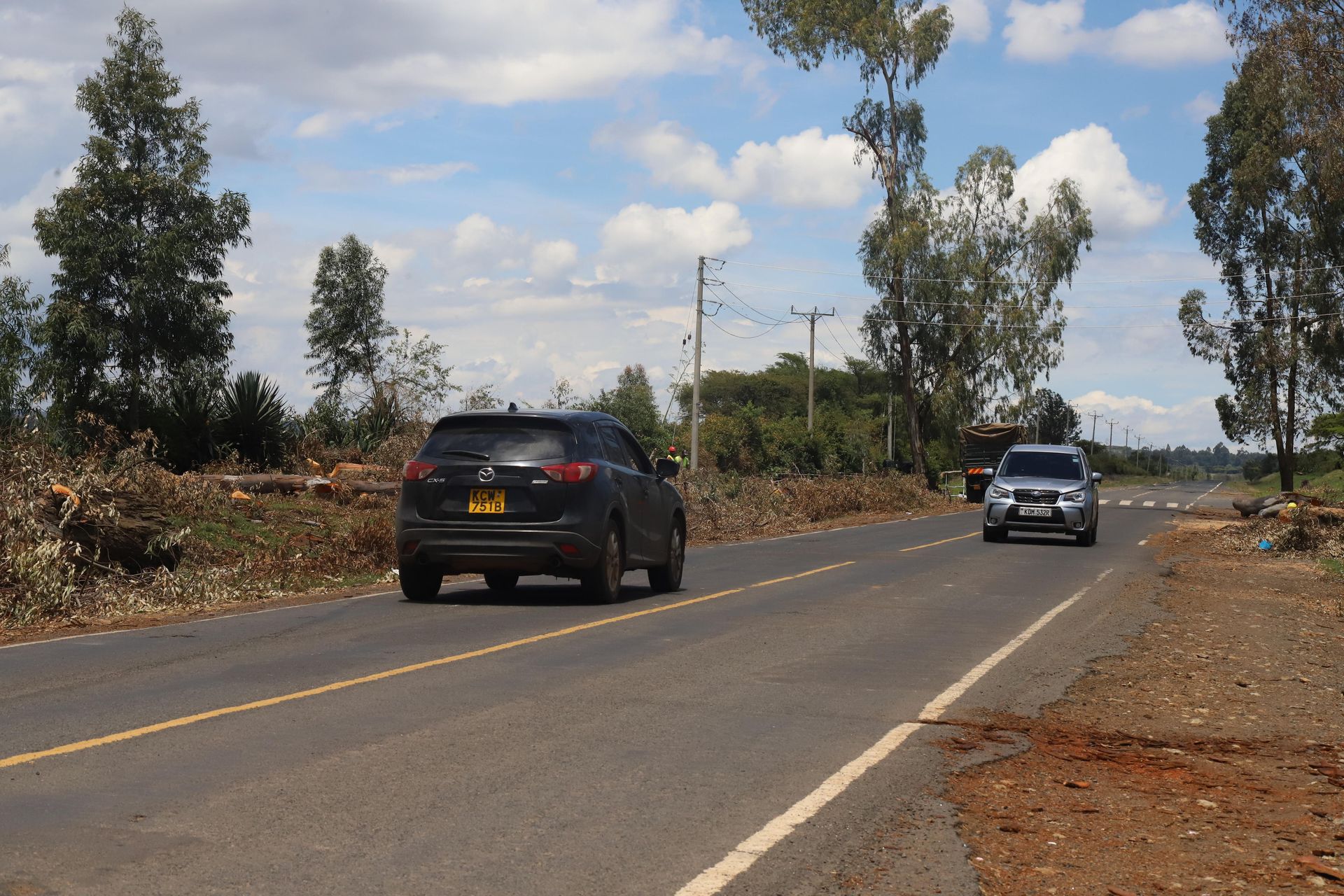 Moi-era trees fall leaving behind memories for Kabarak residents