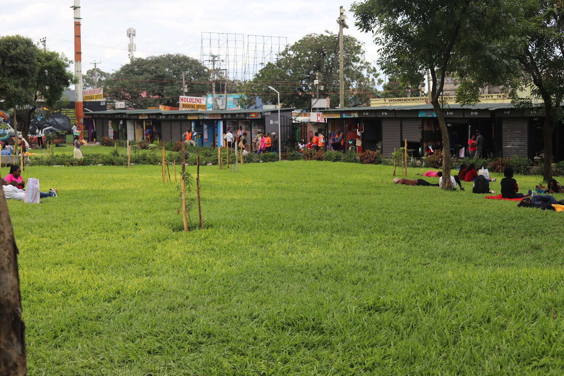 Win for Nakuru county as court dismisses petition challenging rehabilitation of Lions Gardens
