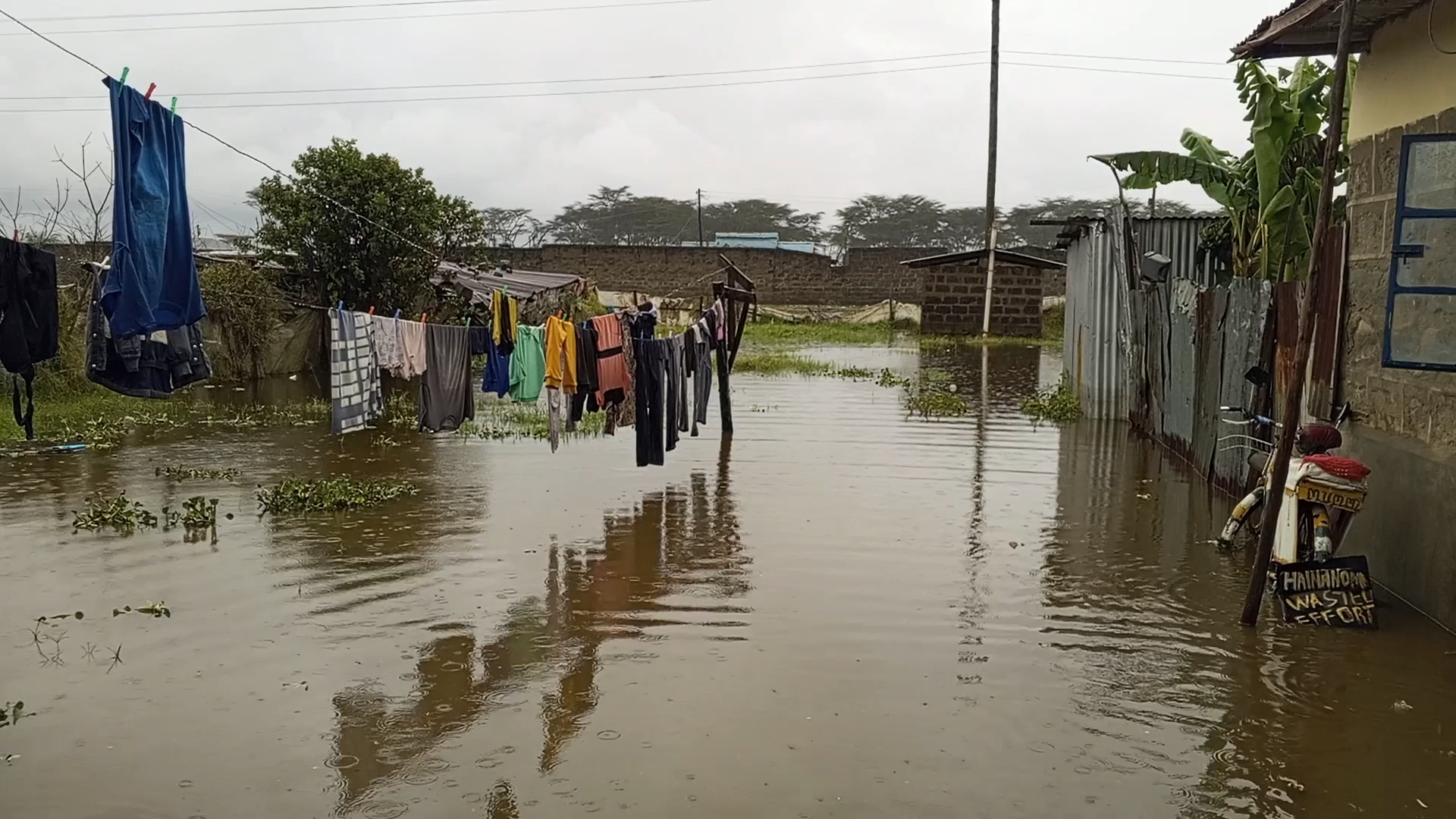 Why five Nakuru residents want state to declare Lake Naivasha flooding a national disaster