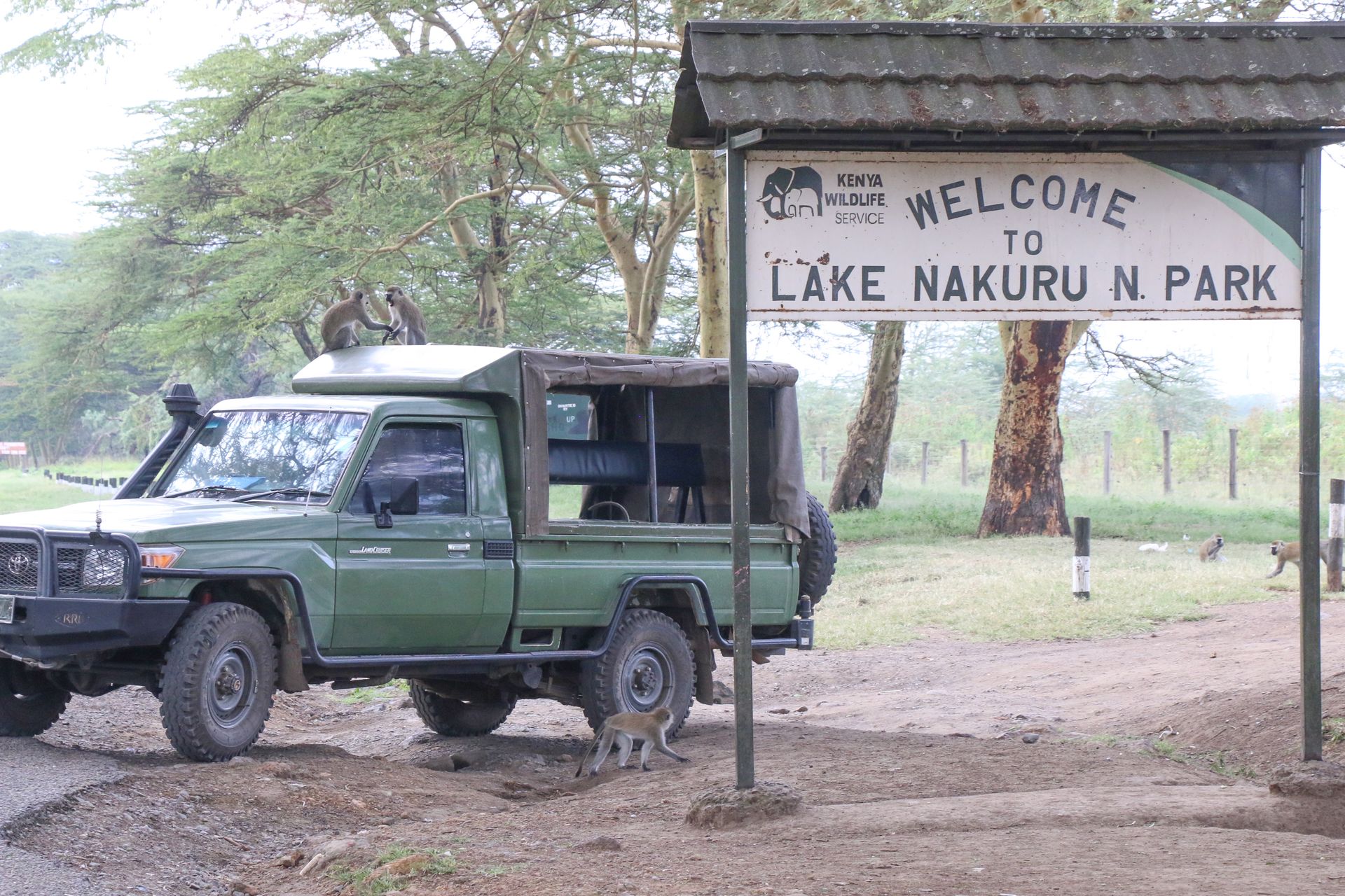 KWS raises park fees from Sh860 to Sh1,500 for local tourists