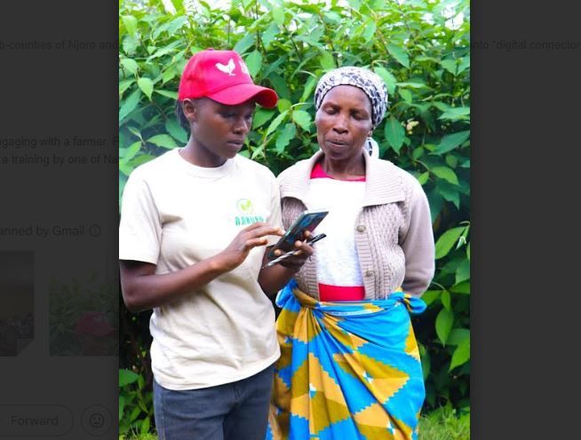 How technology is revolutionising potato farming in Njoro and Molo