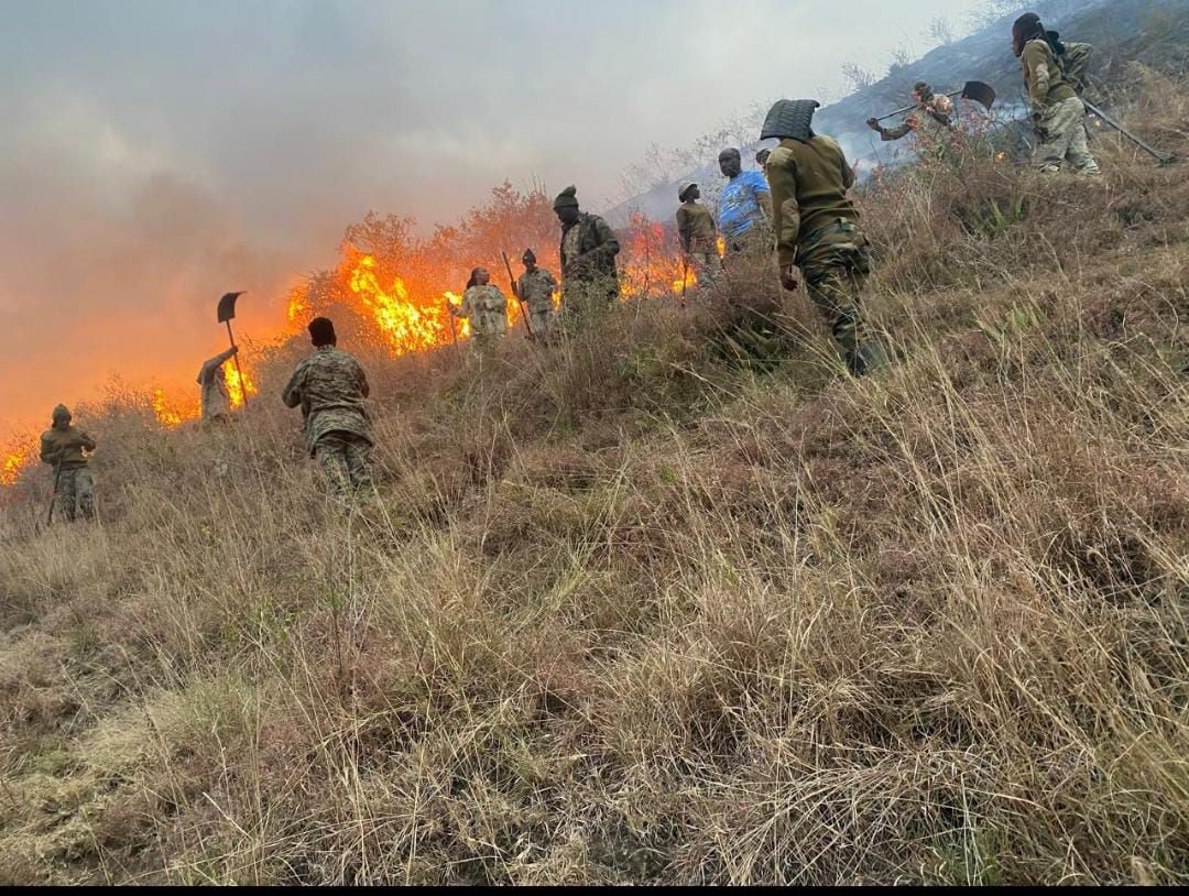 KWS cautions the public against lighting fires near the park