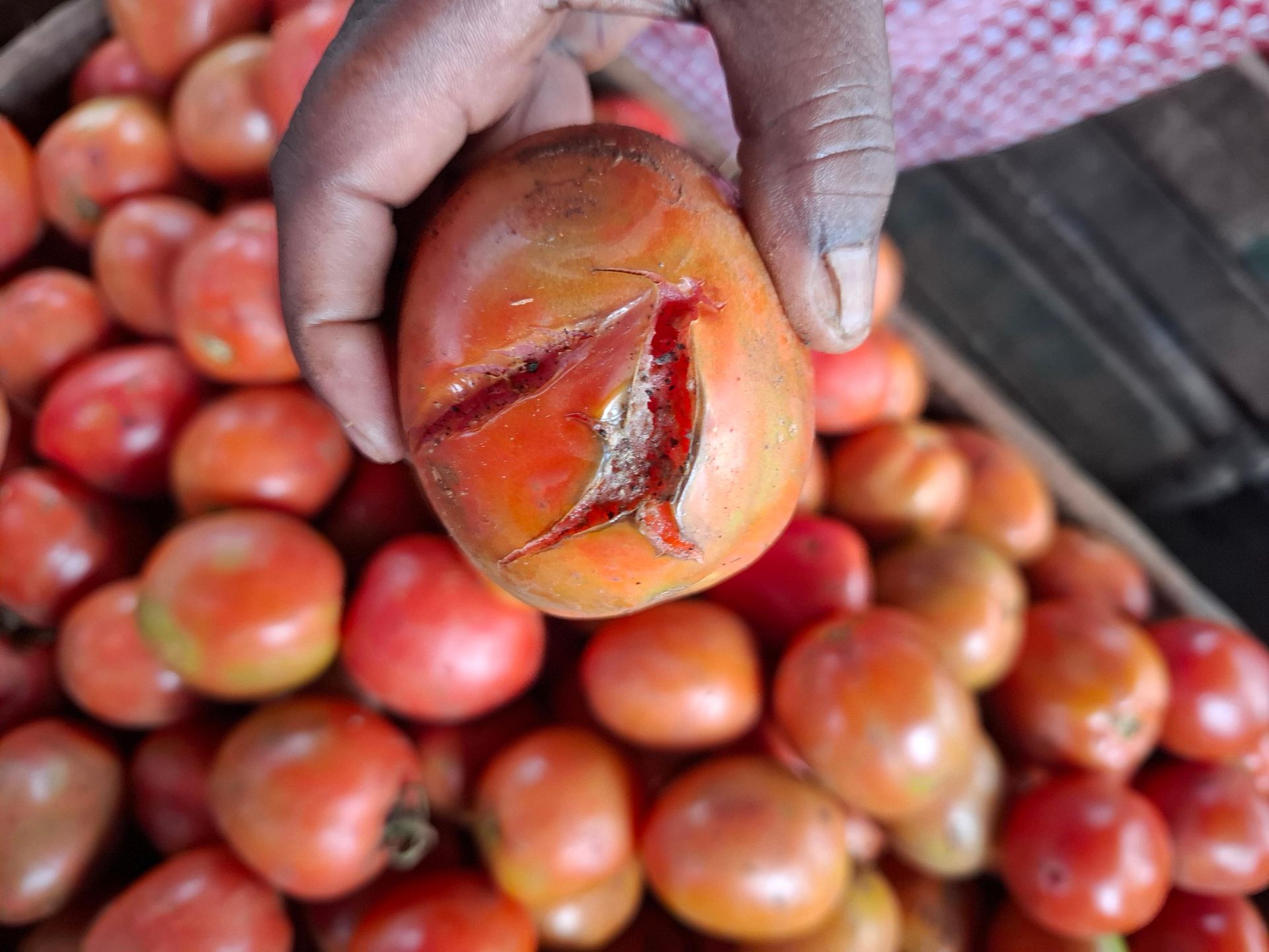 Why Nakuru households are skipping tomatoes in meals