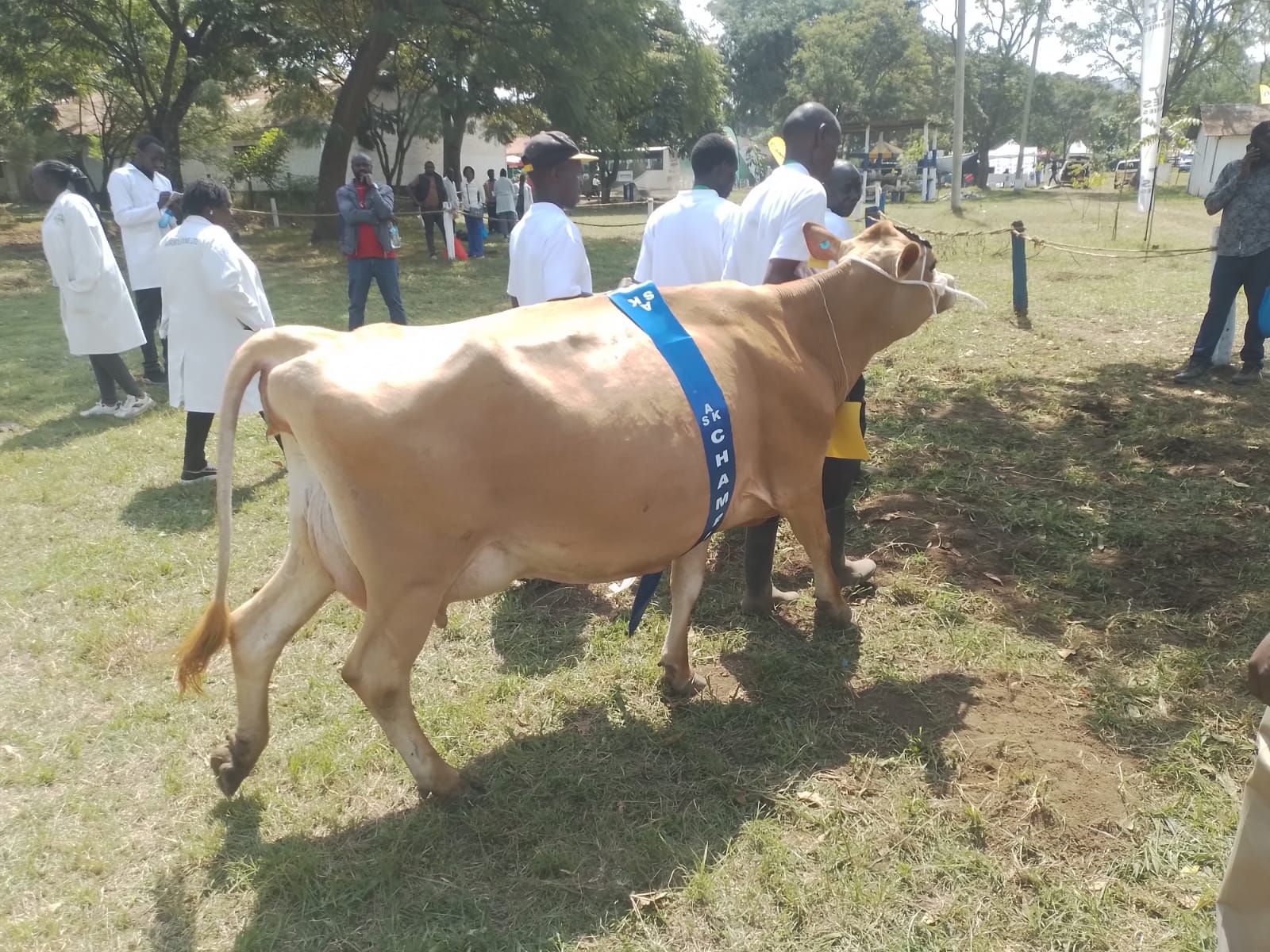 Egerton University, Delorain House delivers top quality animals at the Nakuru ASK show