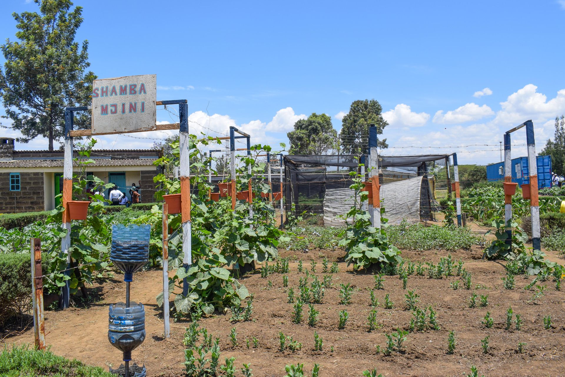 How Shamba Mjini is being utilized to promote urban and peri-urban farming