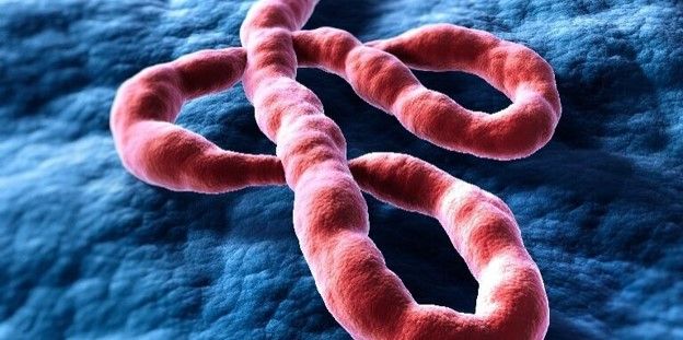 Nakuru health department on high alert after Kenya reports first imported Ebola case